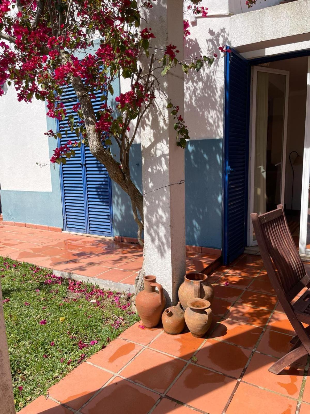Villa Arrabida ปัลเมลา ภายนอก รูปภาพ